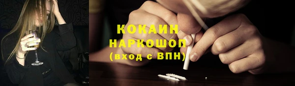 гашик Россошь