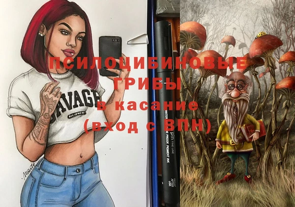 крисы Алексеевка