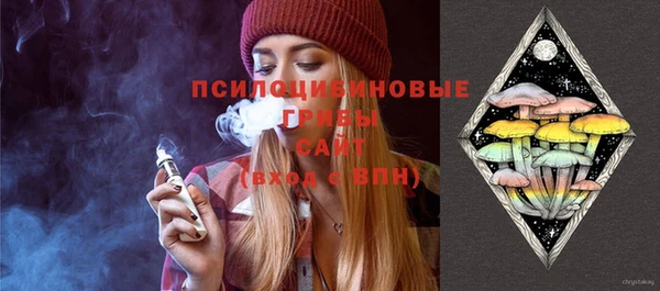 спиды Алзамай