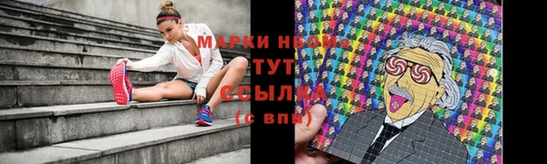 твердый Аркадак