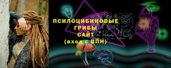 твердый Аркадак