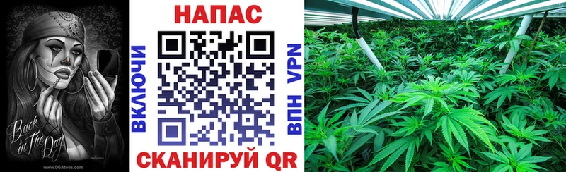 Бошки марихуана индика Заполярный